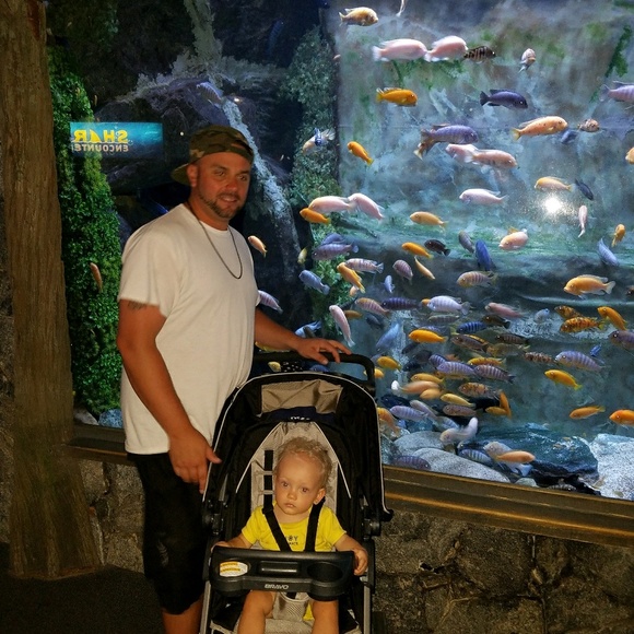 Meet your Posher, Brian - Picture 1 of 1